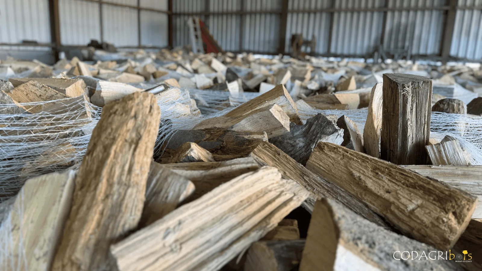 Bûches de bois en hangar